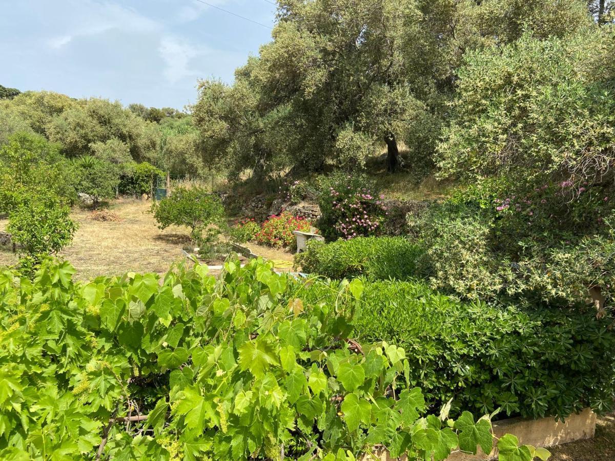LʼÎle-Rousse Seaview Garden Villa מראה חיצוני תמונה